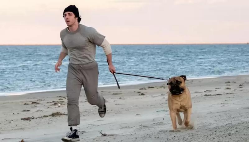 «Рокки — это я» выйдет к юбилею фильма Сильвестра Сталлоне «Рокки»